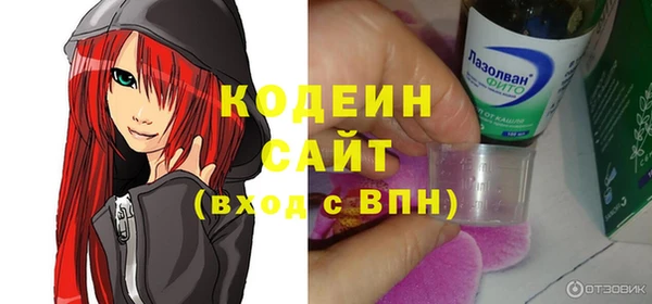 хмурый Алексин