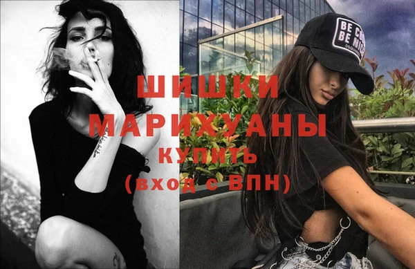 PSILOCYBIN Алзамай