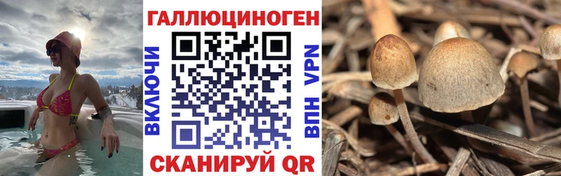 Псилоцибиновые грибы Psilocybine cubensis  купить наркоту  Барыш 